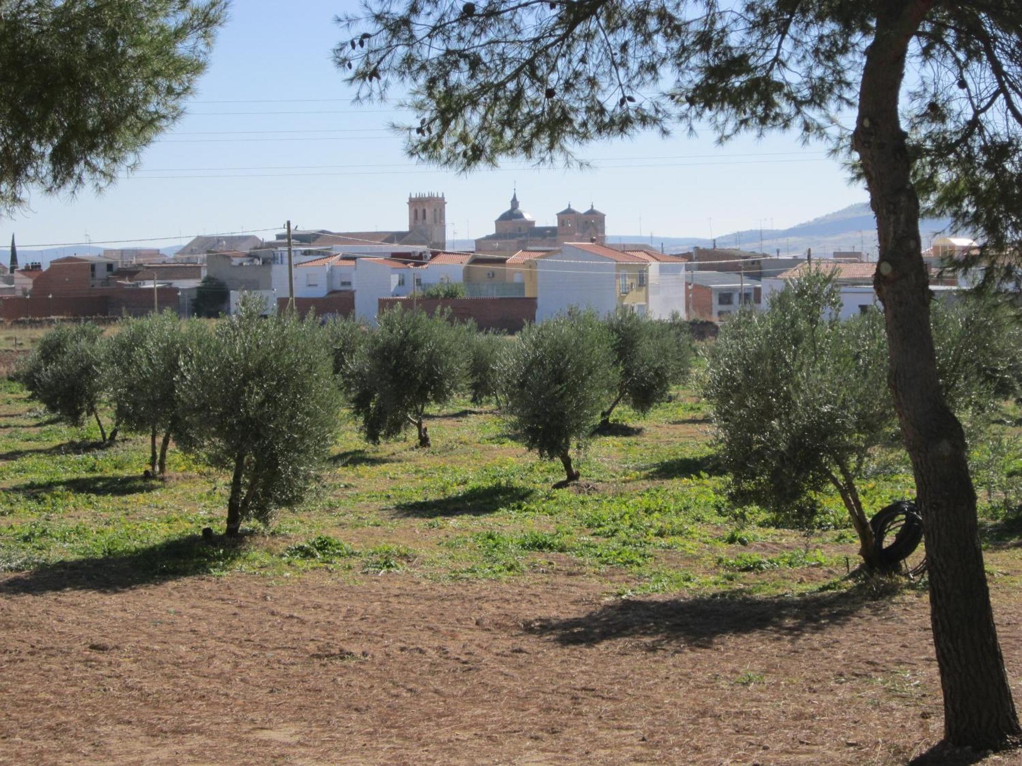 Apartamentos Rurales Las Caleras ألماغرو المظهر الخارجي الصورة