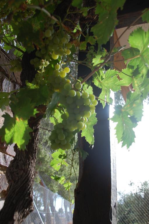 Apartamentos Rurales Las Caleras ألماغرو المظهر الخارجي الصورة